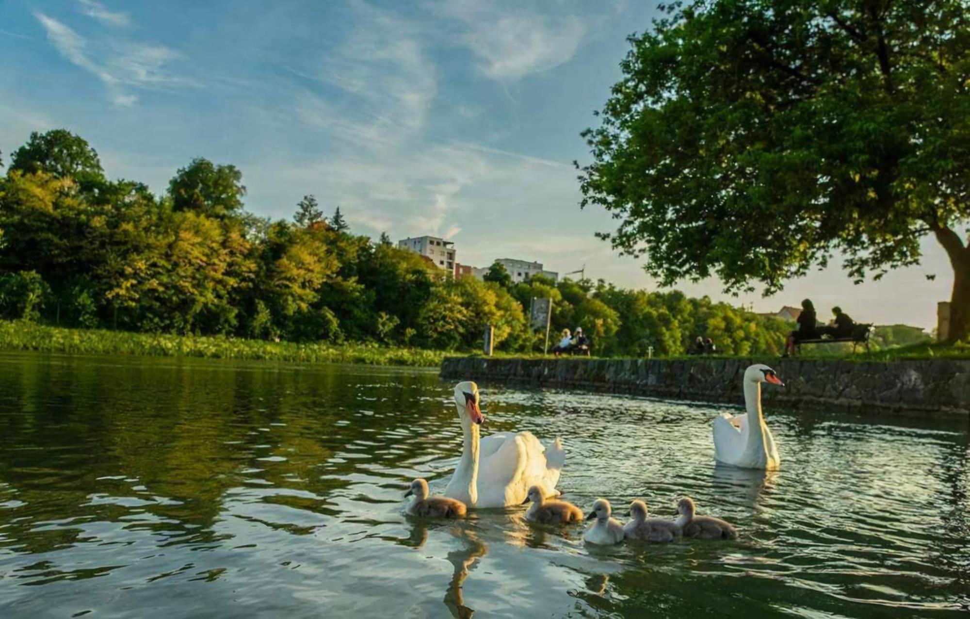 Apartment Dolce Vita Maribor Buitenkant foto