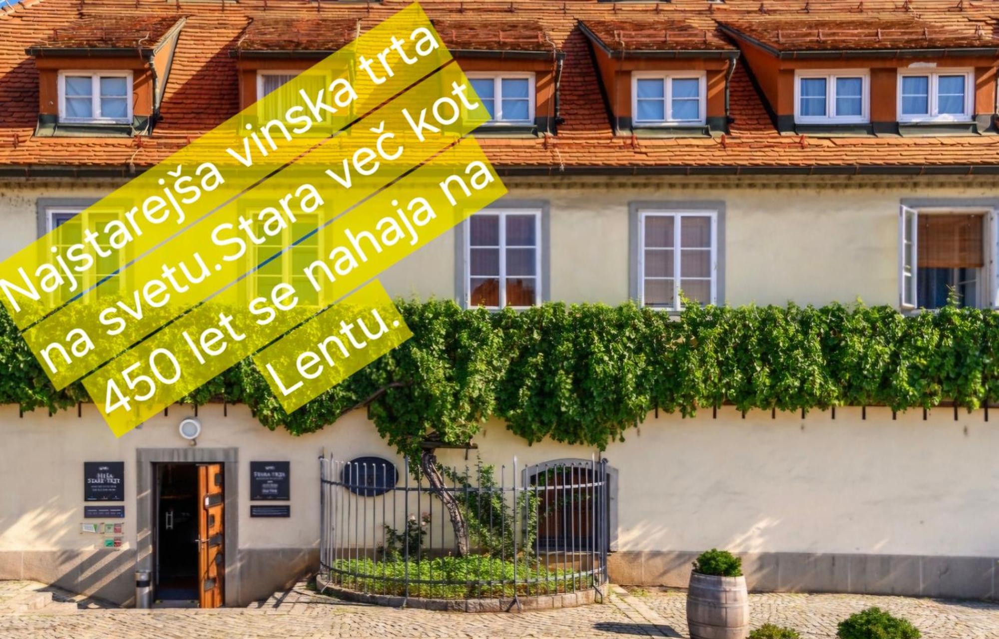 Apartment Dolce Vita Maribor Buitenkant foto